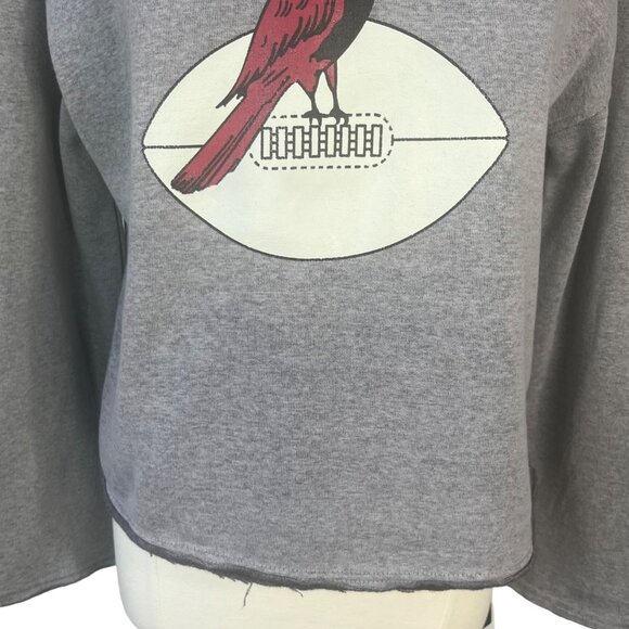 NFL Arizona Cardinals Logo Hoodie Sweatshirt Womens Medium Gray New - Picture 4 of 11
